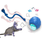 Interactive Silicone Pet Ball