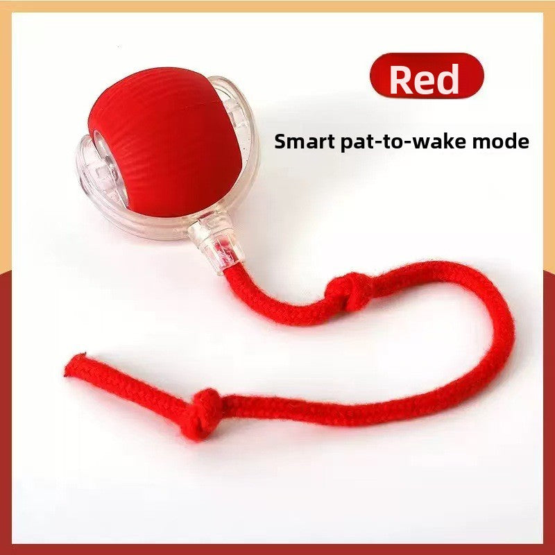 Interactive Silicone Pet Ball
