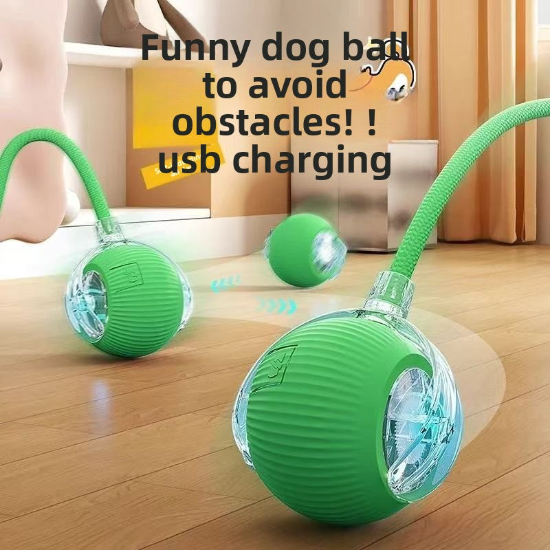 Interactive Silicone Pet Ball