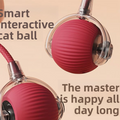 Interactive Silicone Pet Ball